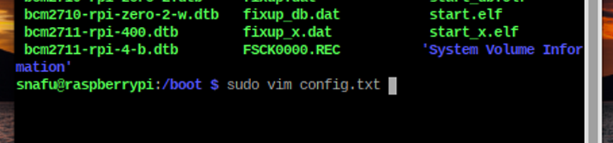 sudo vim config.txt